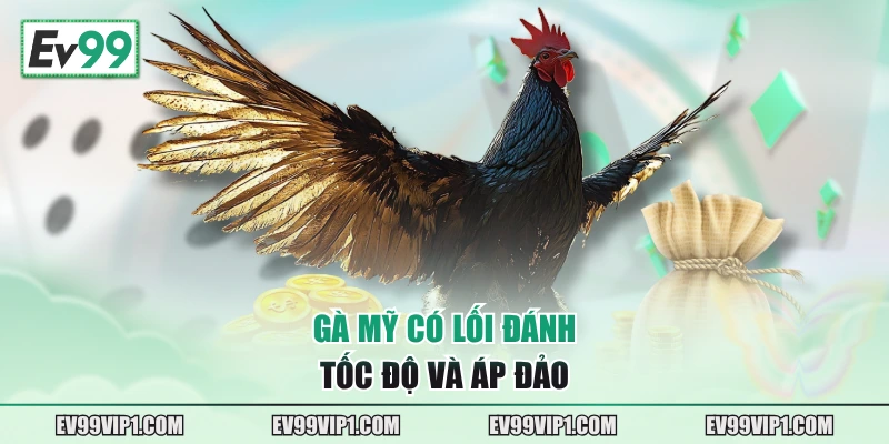 Gà Mỹ có lối đánh tốc độ và áp đảo