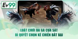 Luật Chơi Đá Gà Cựa Sắt & Bí Quyết Chọn Kê Chiến Bất Bại